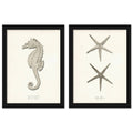 Greige Sea Horse 2 Piece Black Framed Print Set R213134