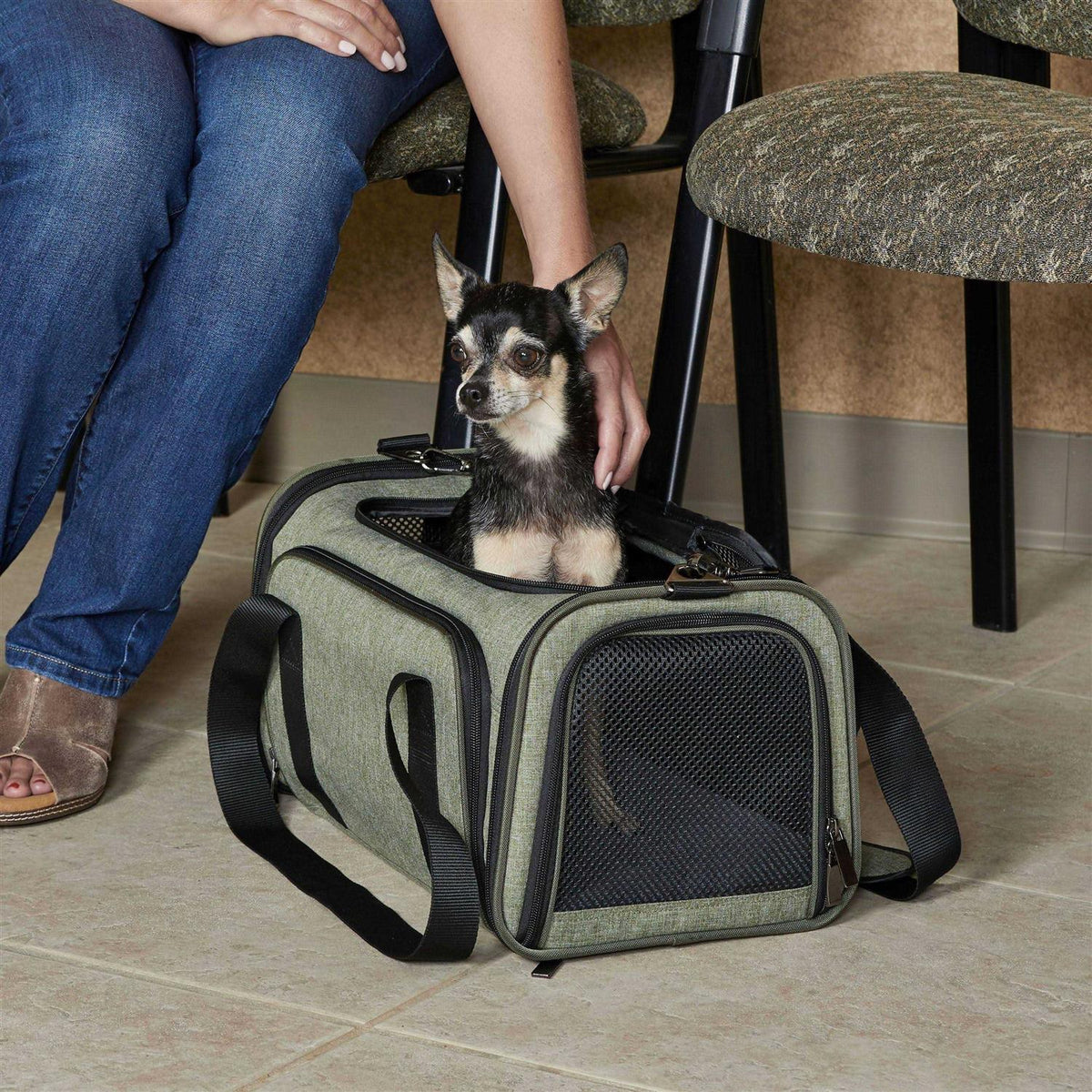 Pet Carrier I593