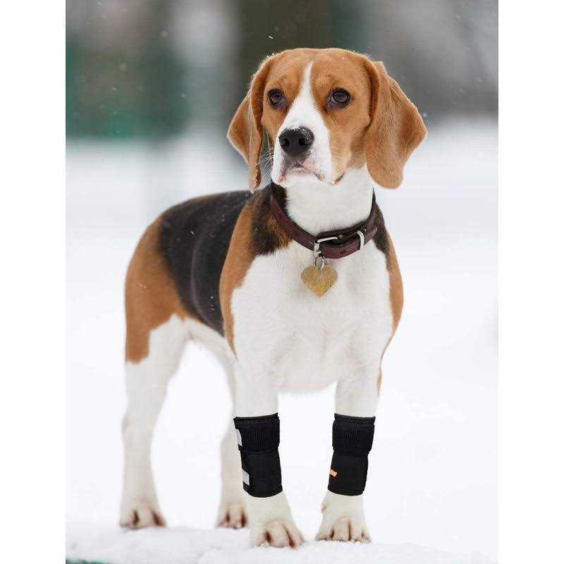 Dog Front Leg Braces and Support R483