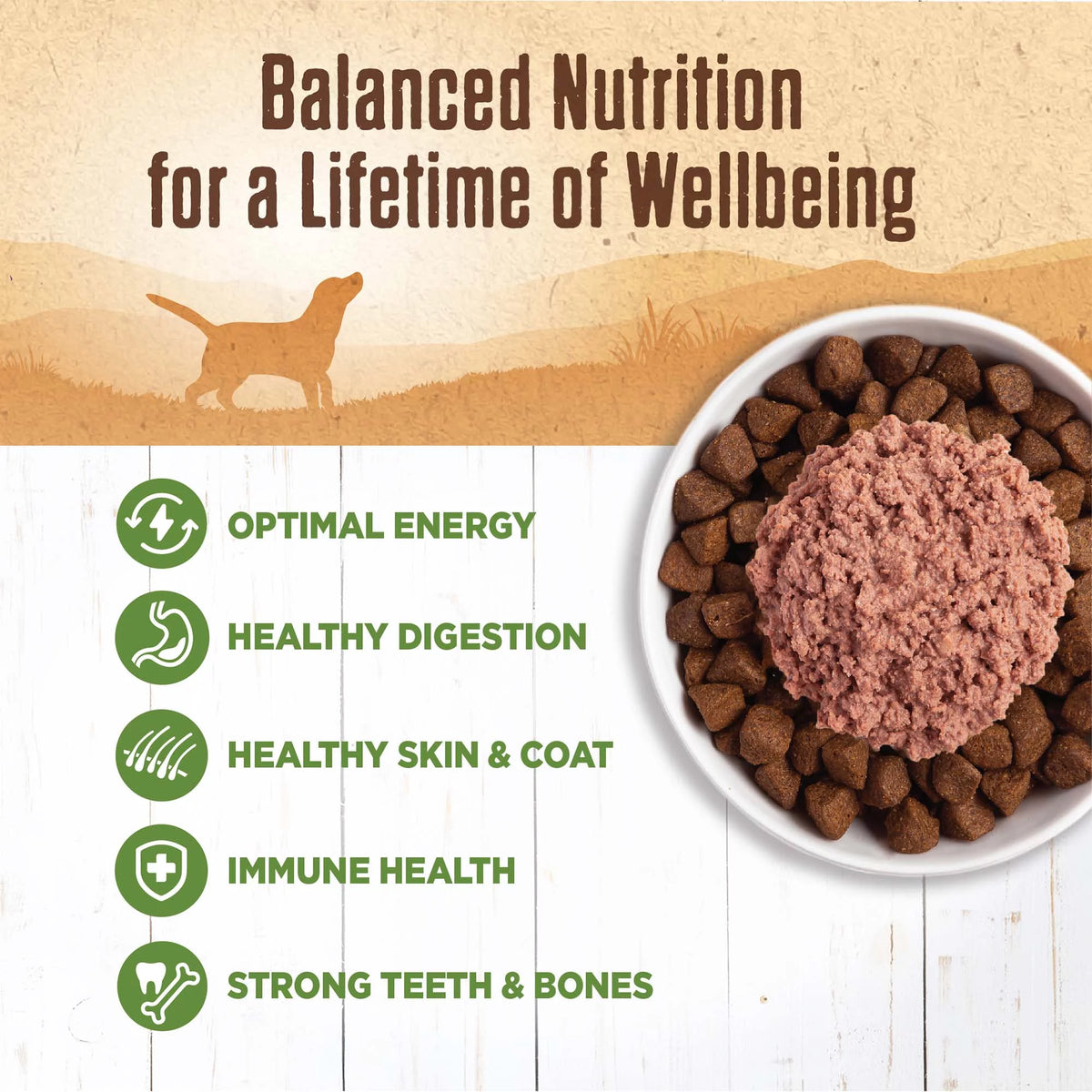 95% Lamb Grain Free Wet Canned Dog Food, 13.2-Ounce Can (Pack of 12) L7378