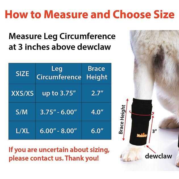 Dog Front Leg Braces and Support R483