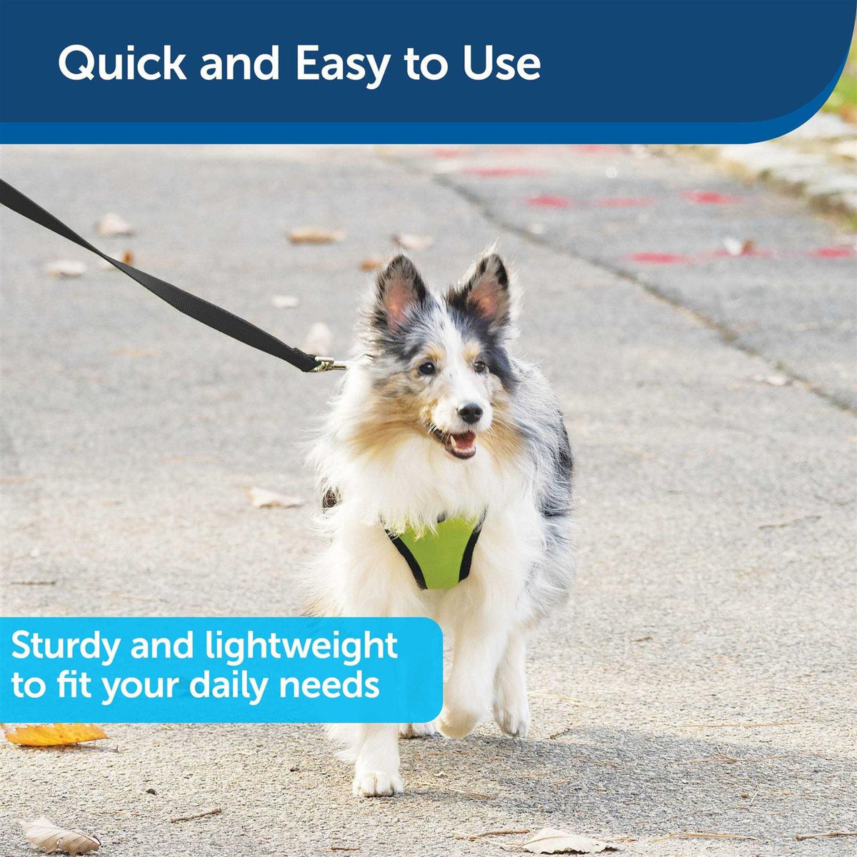 Nylon Dog Leash S270669
