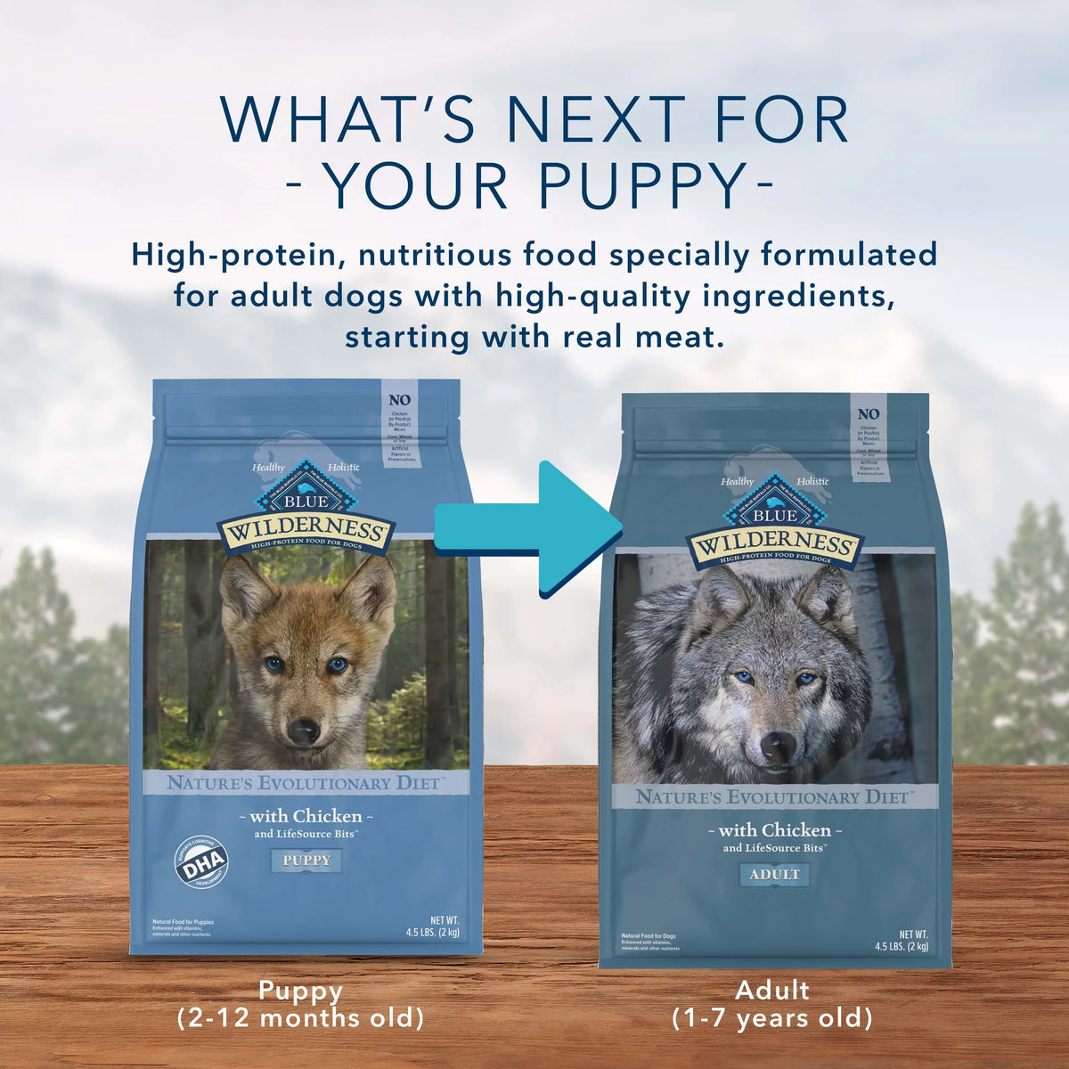High Protein Chicken Grain-Free Dry Dog Food S270995