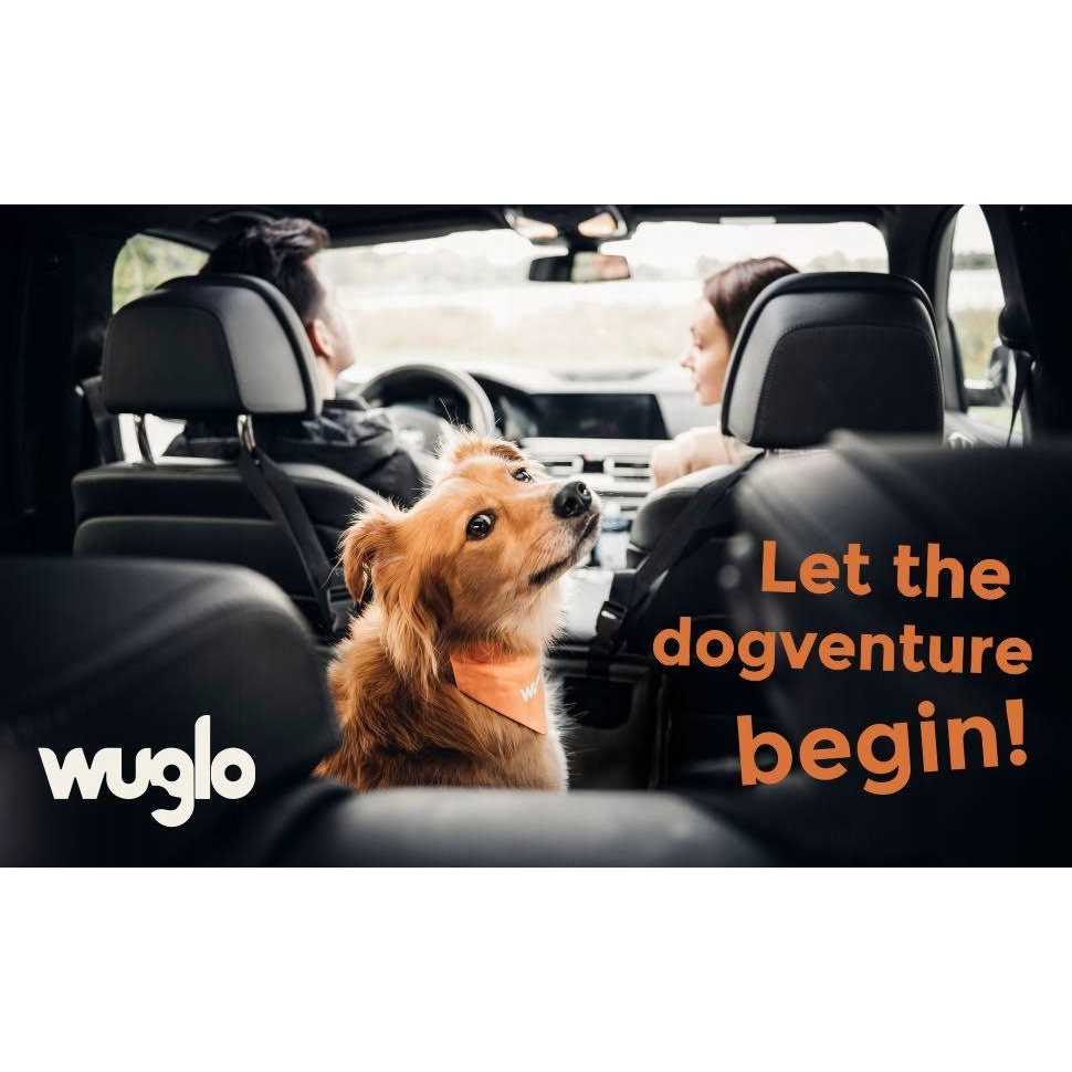 Extra Stable Dog Car Seat with 4 Fastening Straps A208965