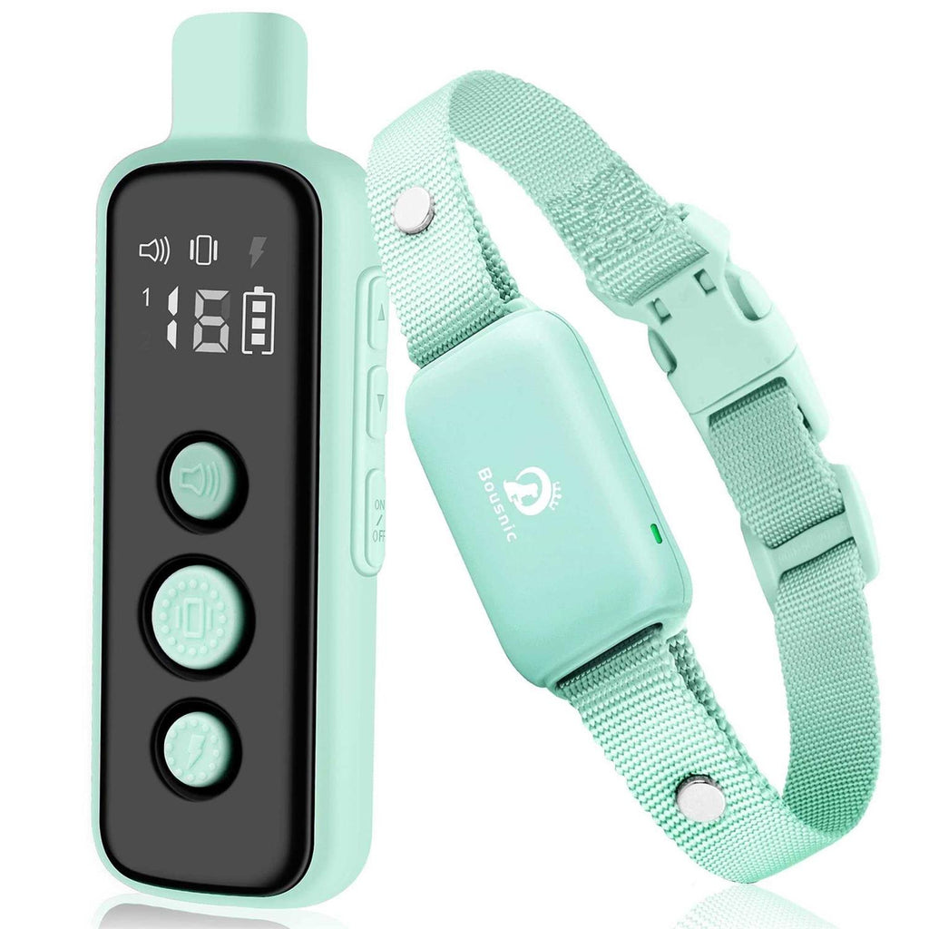 Waterproof Rechargeable Electric Dog Training Collar with Remote W751