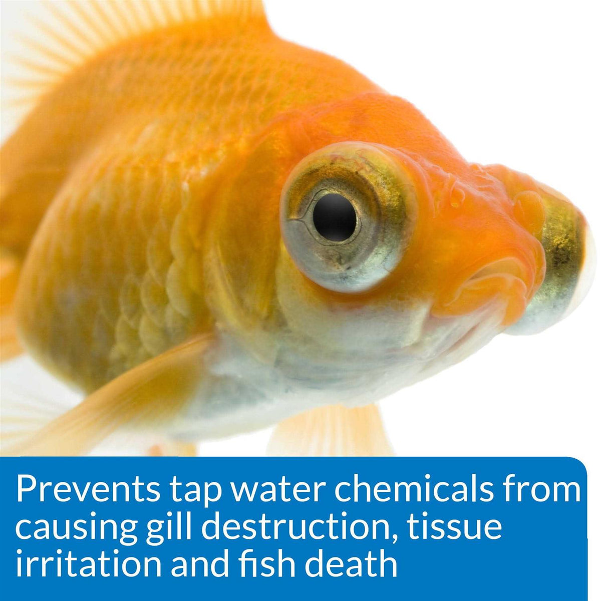 Aquarium Water Conditioner M725