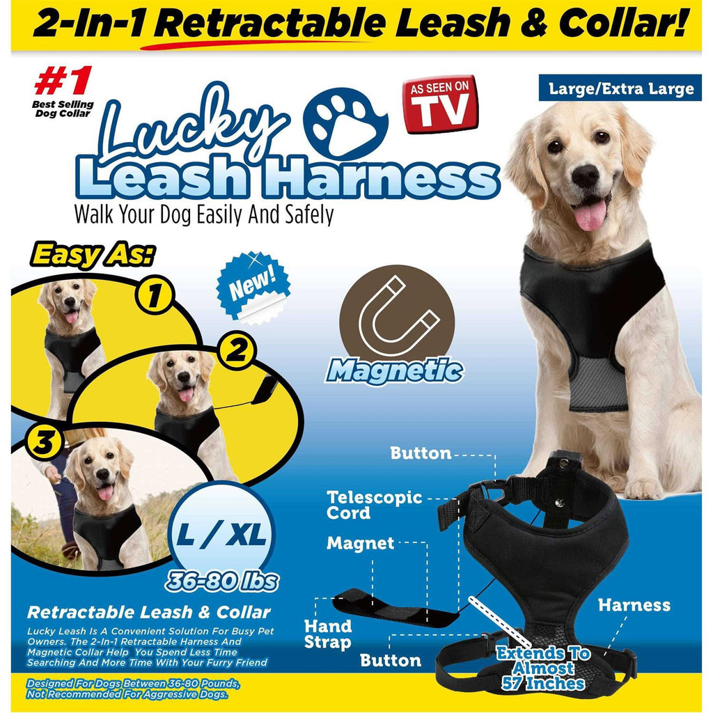 Magnetic Harness & Retractable Leash H74422