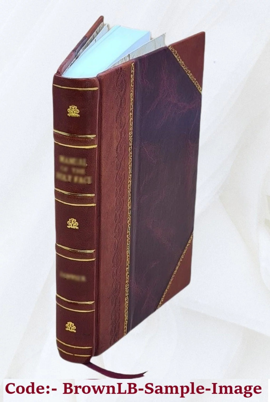 Leather Bound Book Q87654