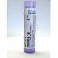 Arnica montana 1M 80 plts U381530