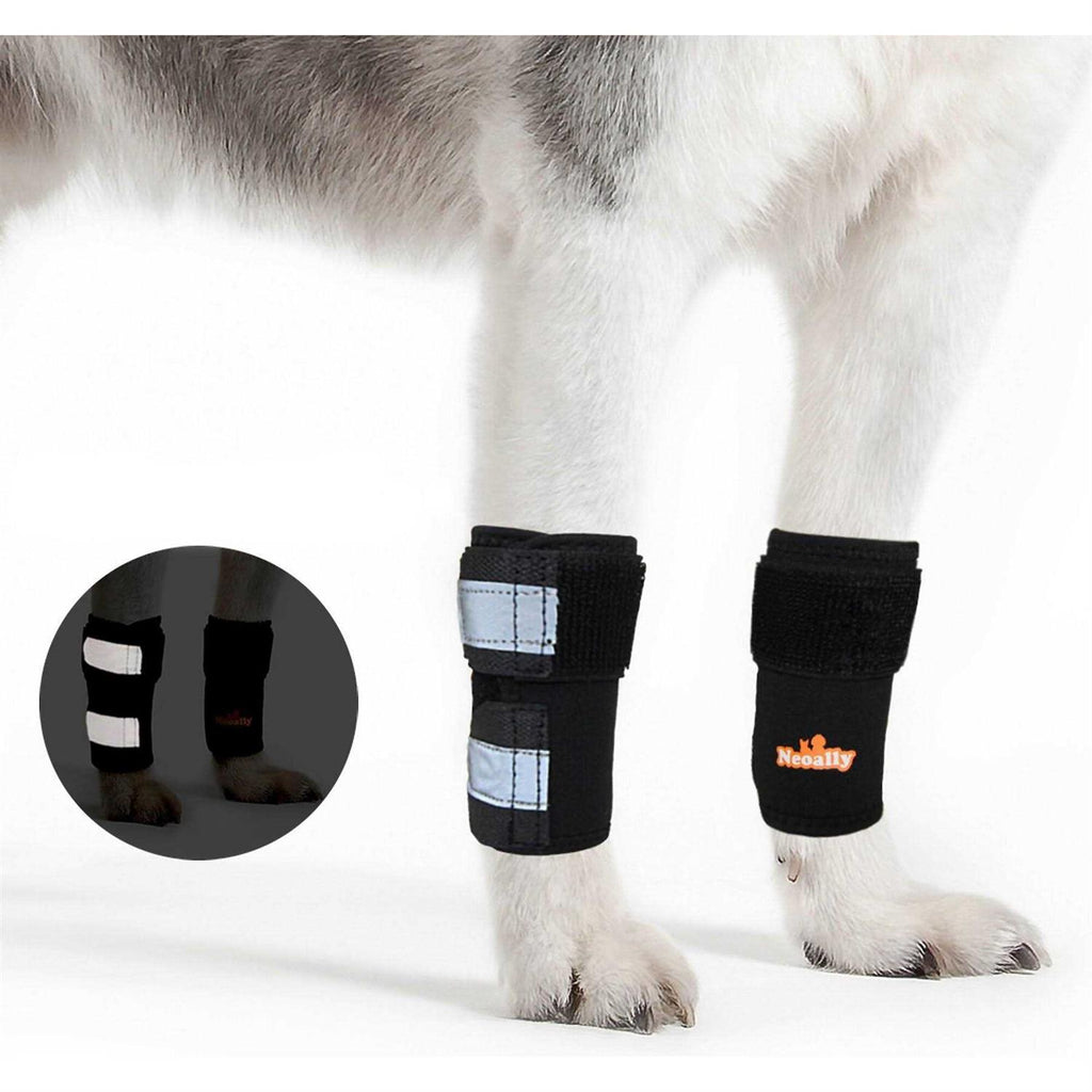 Dog Front Leg Braces and Support R483