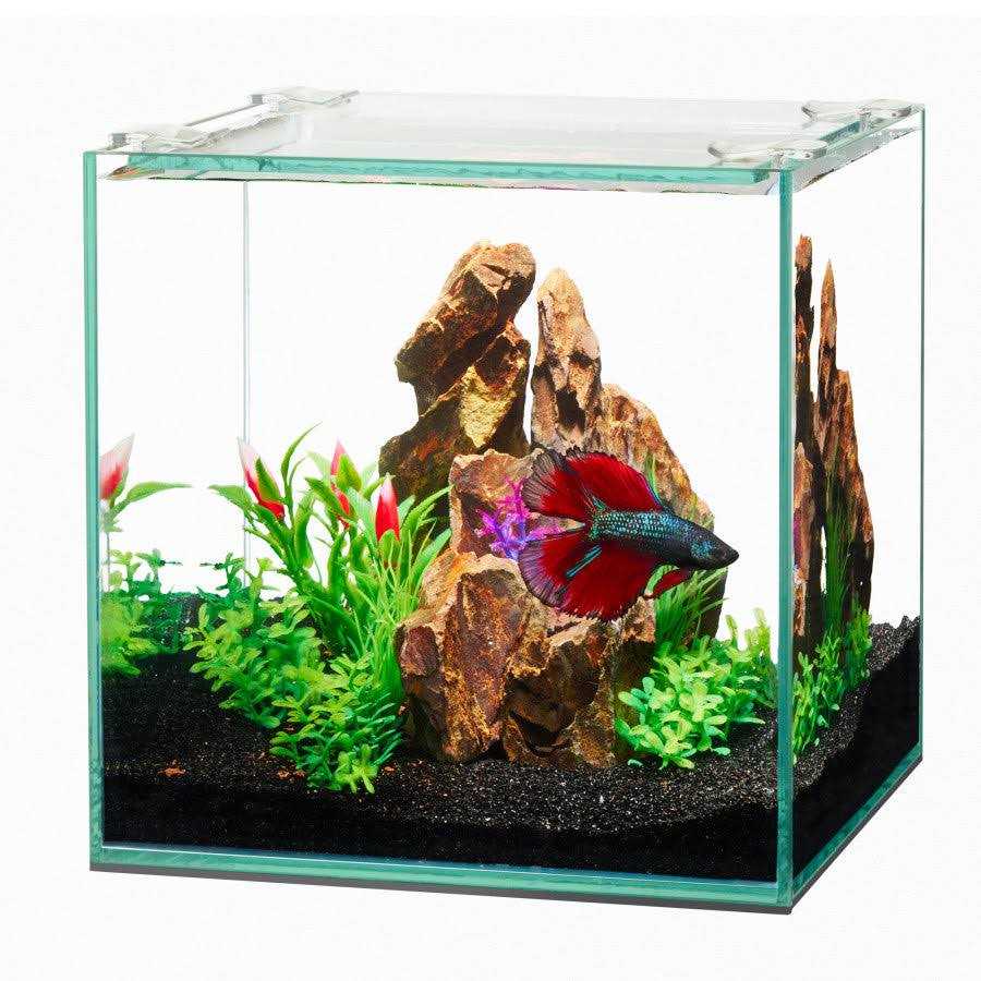 Frameless Cube Aquarium Y6407