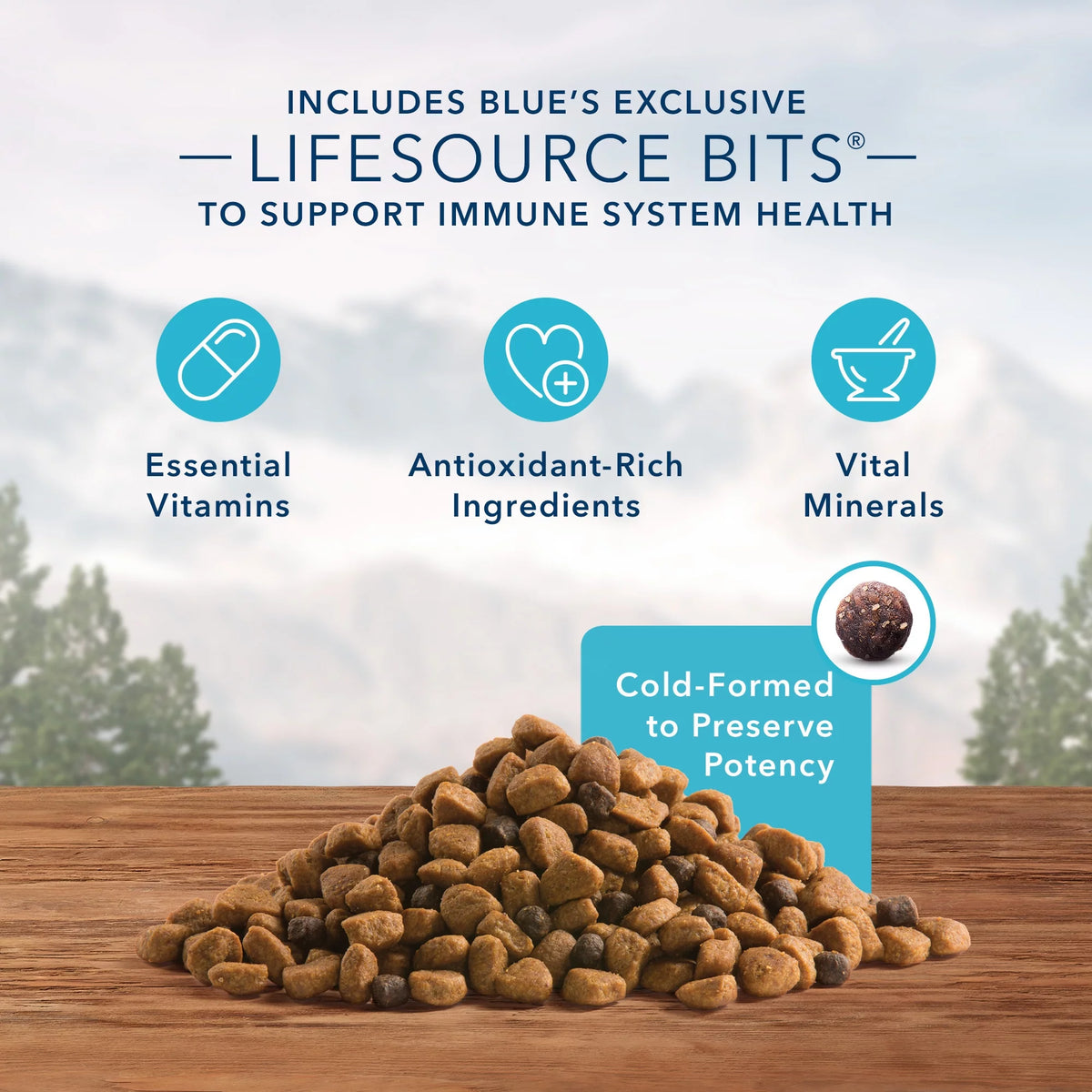 High Protein Chicken Grain-Free Dry Dog Food S270995