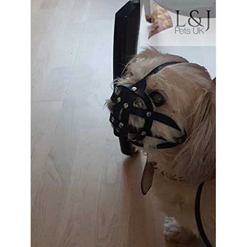 Leather Dog Muzzle U5248