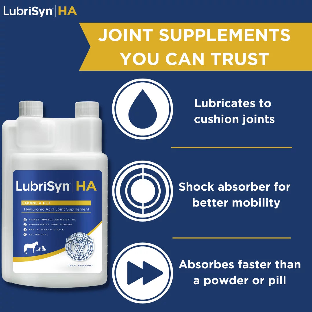 32 oz Joint Supplement U897980