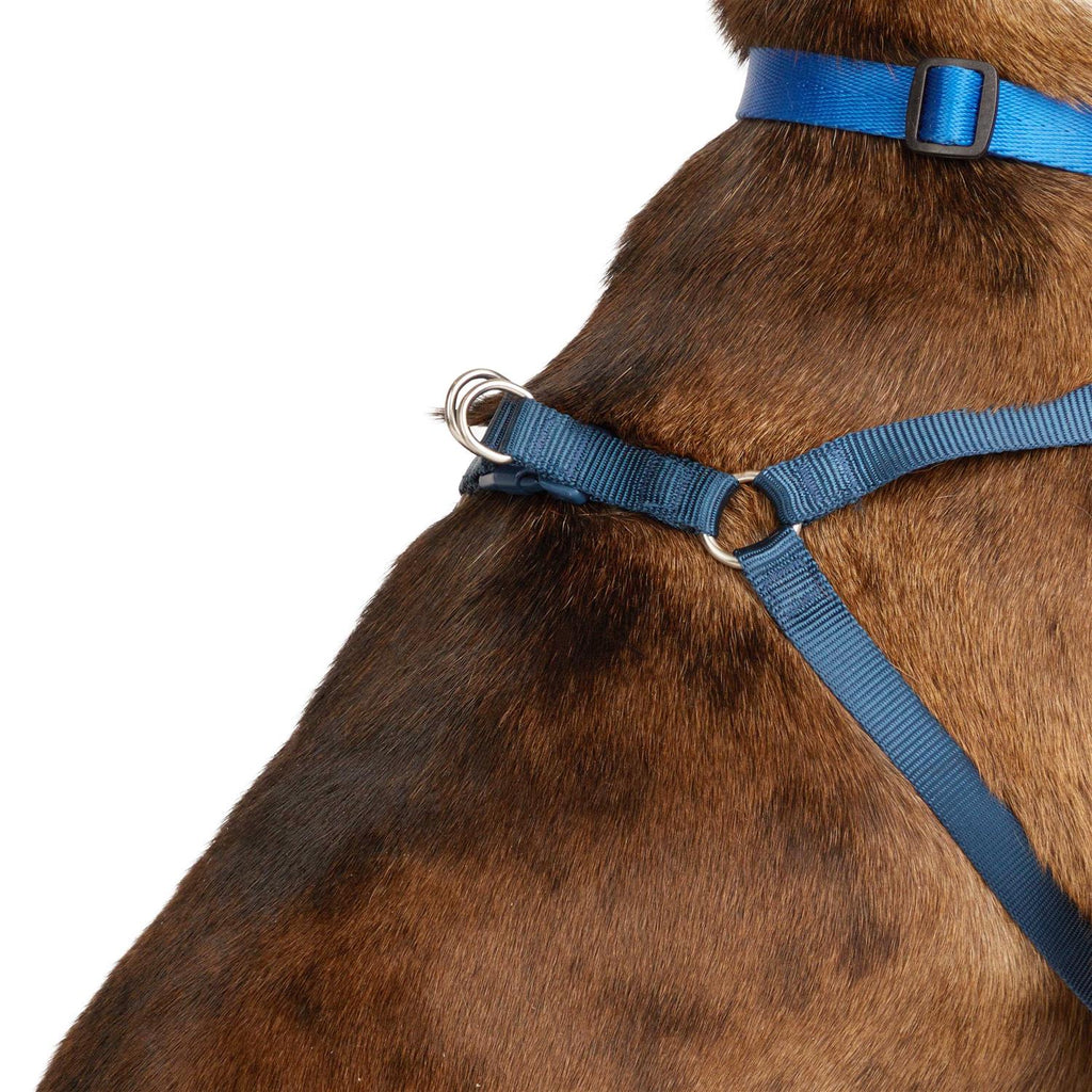 Padded Step-in Dog Harness R72948