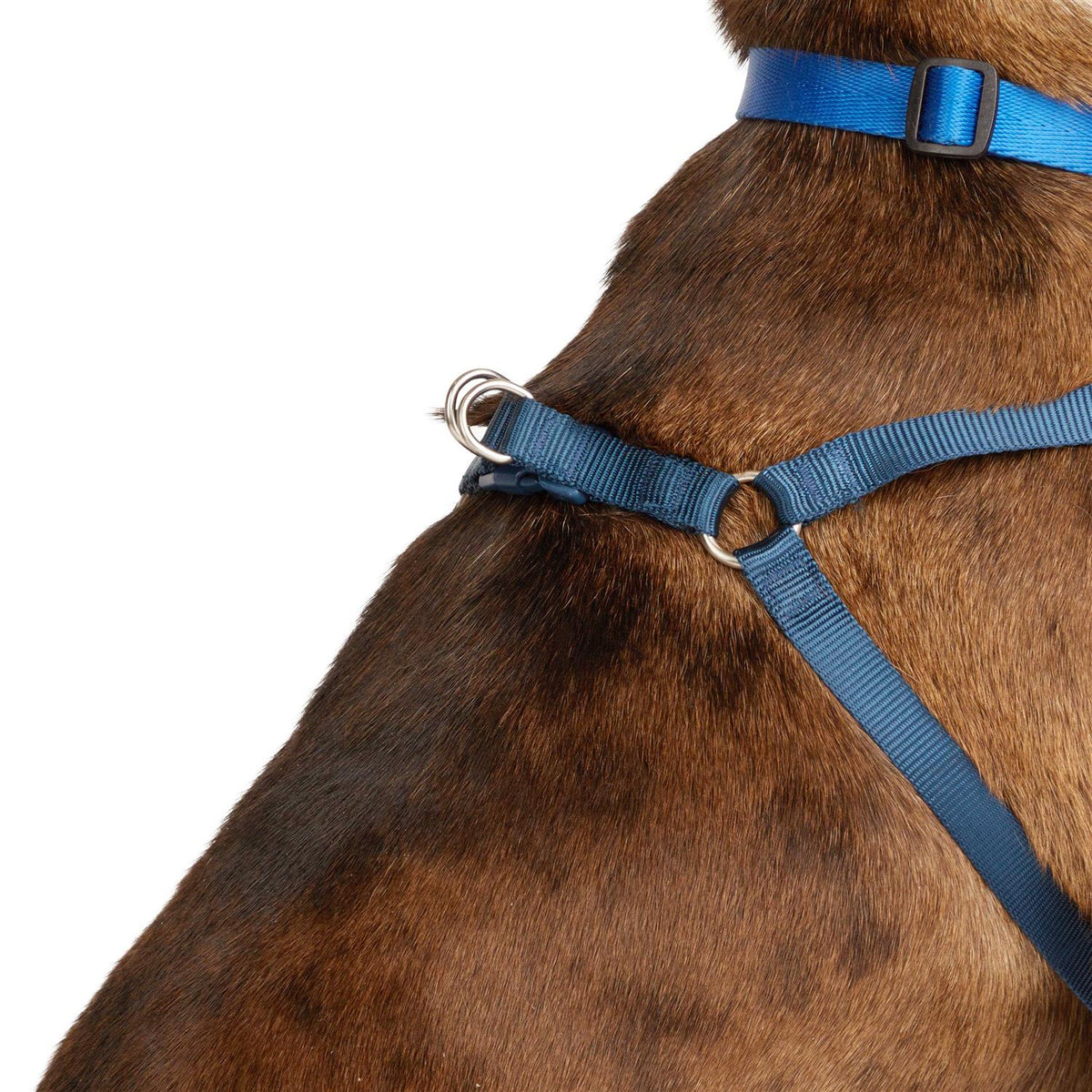 Padded Step-in Dog Harness R72948