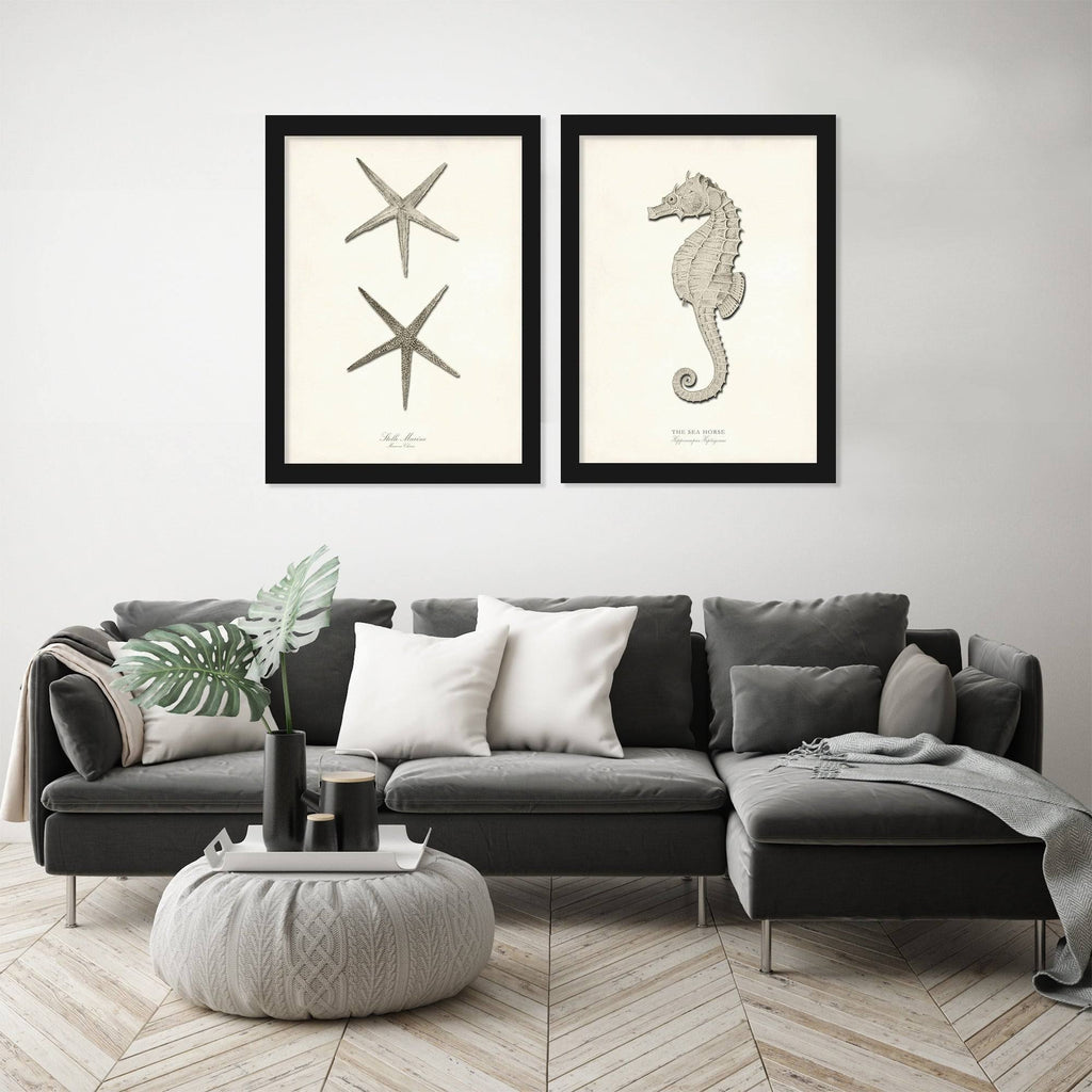 Greige Sea Horse 2 Piece Black Framed Print Set R213134