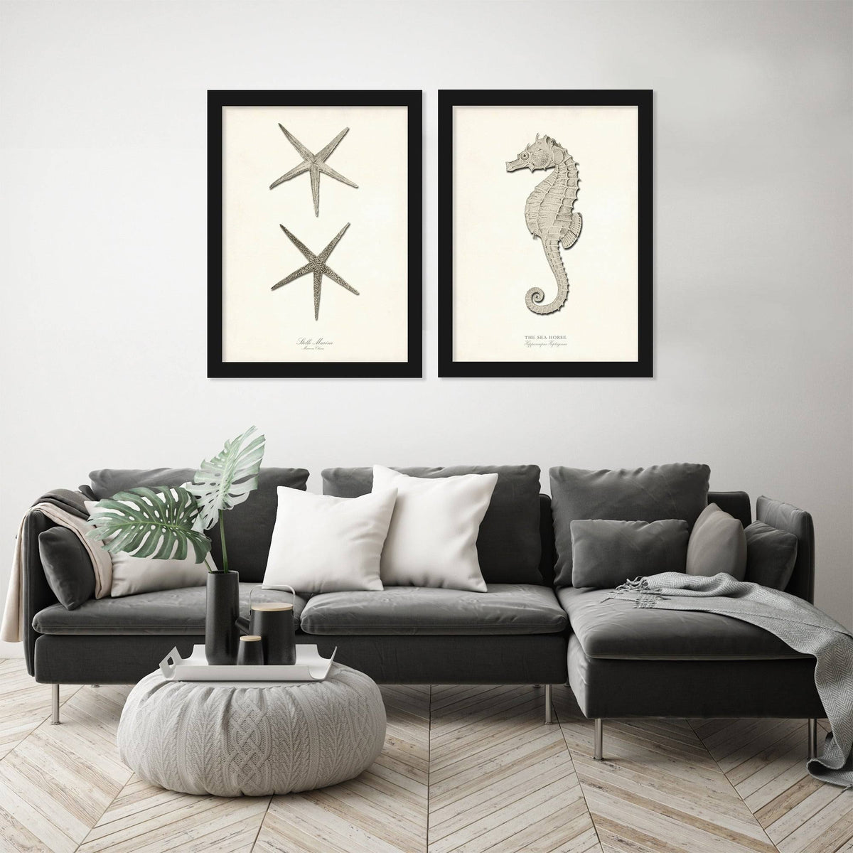 Greige Sea Horse 2 Piece Black Framed Print Set R213134