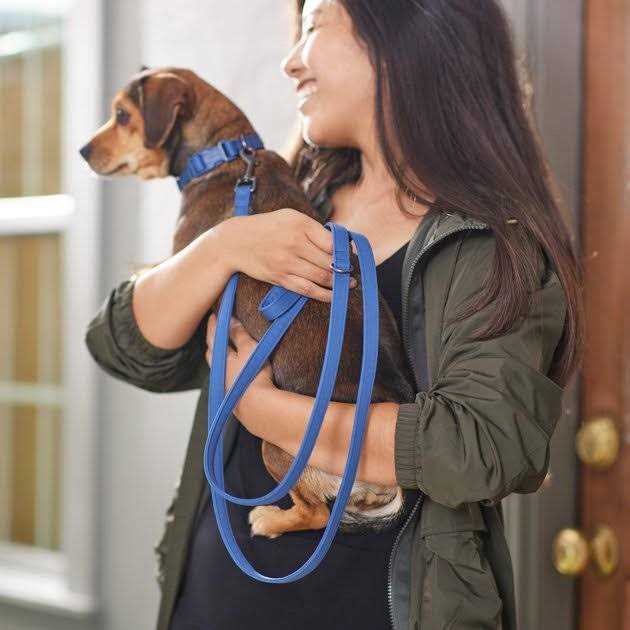 Padded Dog Leash O924
