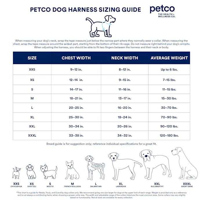 Padded Step-in Dog Harness R72948