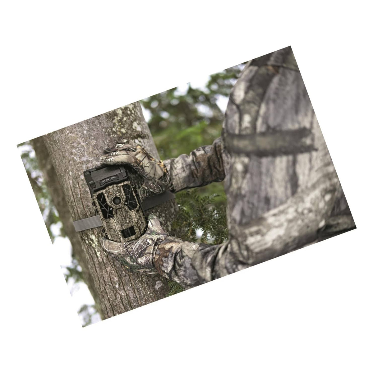 Trail Camera P72322