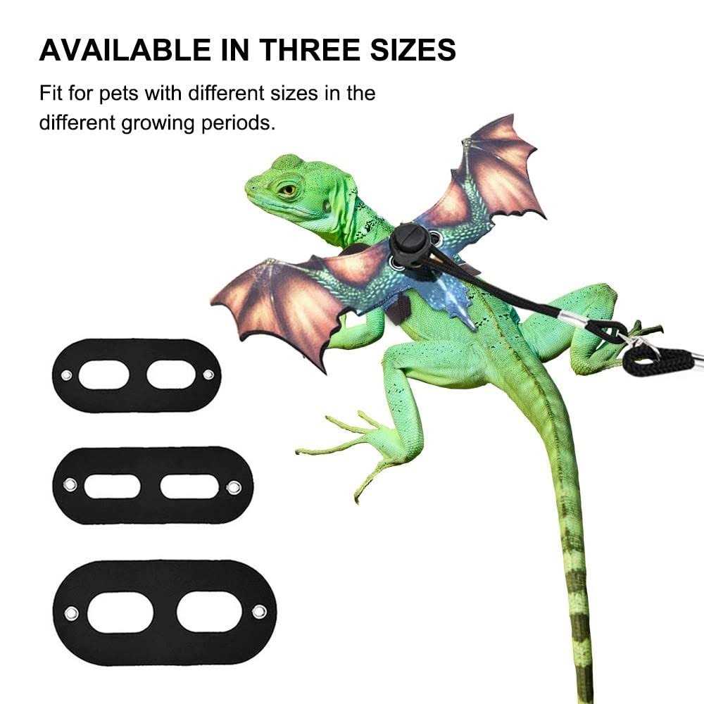 Adjustable Portable Reptile Leash with Wings L442