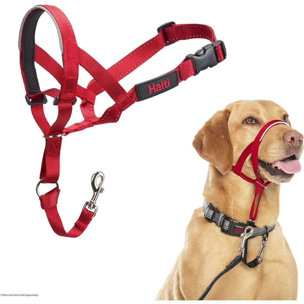 Headcollar R660