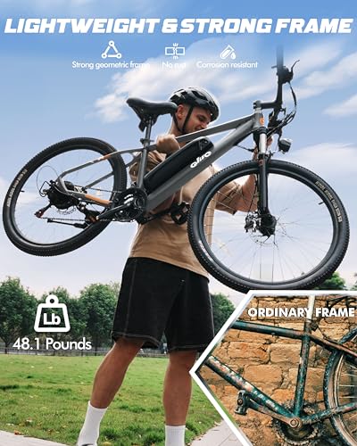 21-Speed Electric Mountain Bike with 350W Motor and Removable Battery W114