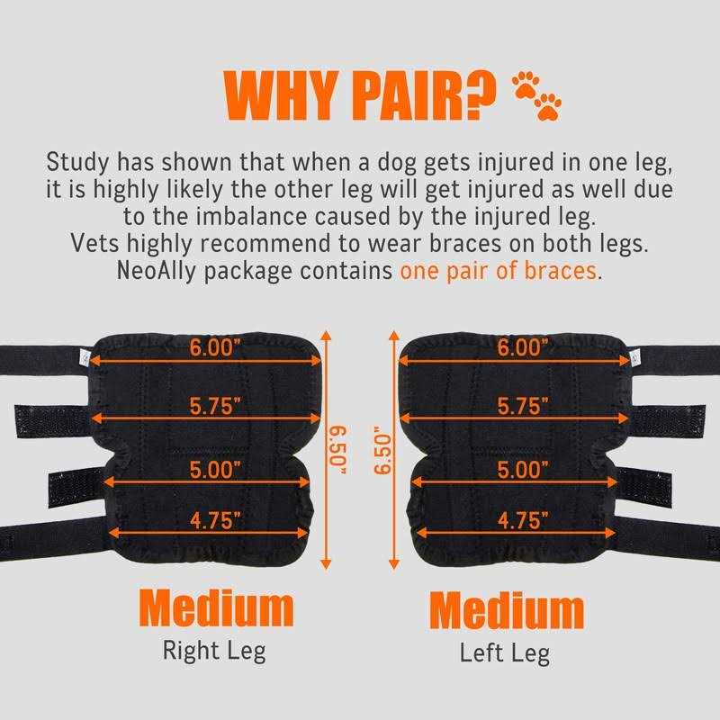 Dog Rear Leg Hock Metal Spring Strips L7690