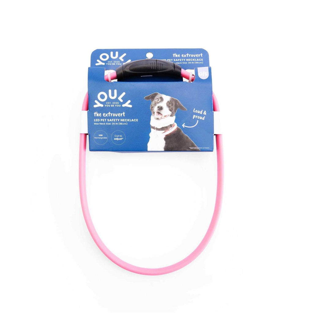 LED Pet Safety Necklace V277