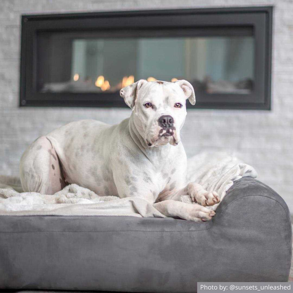 Orthopedic Dog Bed F251