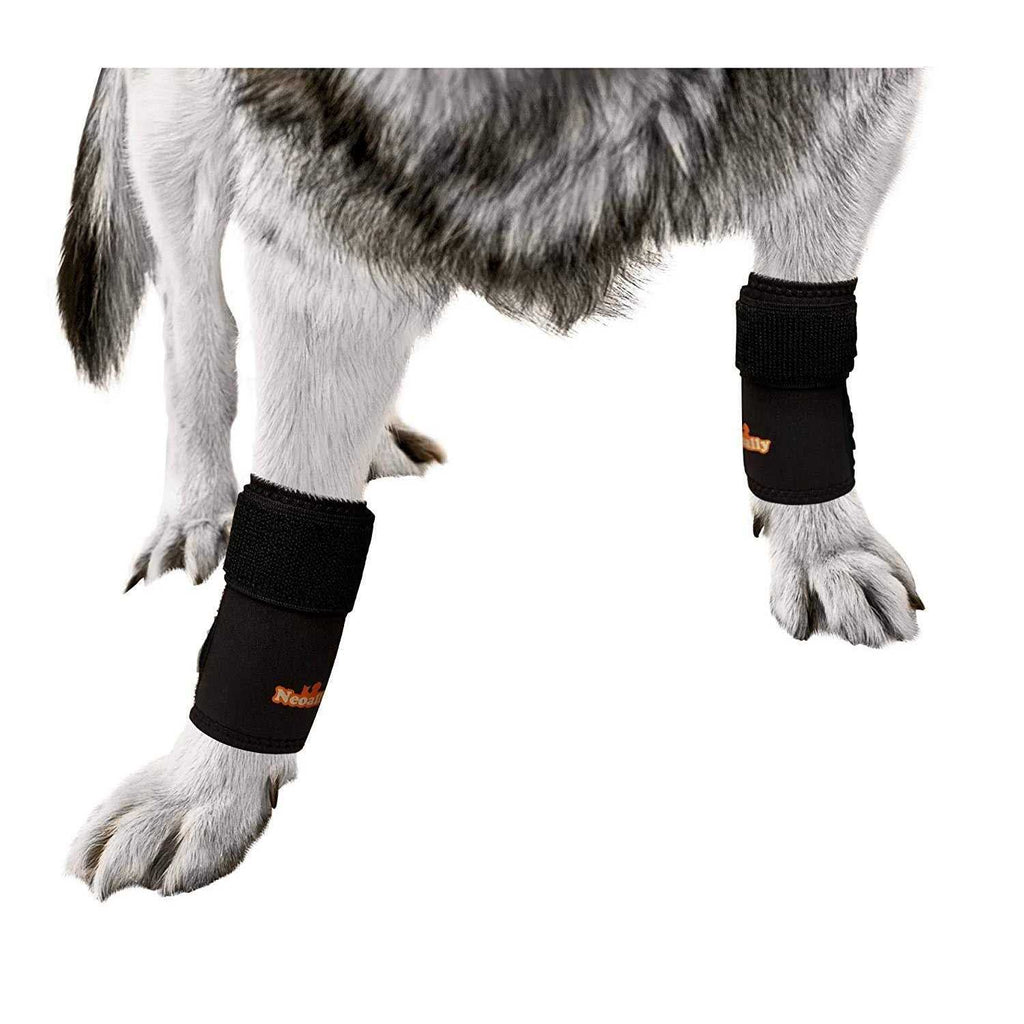 Dog Front Leg Braces and Support R483
