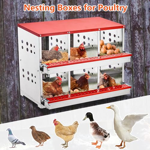 6 Compartment Metal Chicken Nesting Boxes V64992