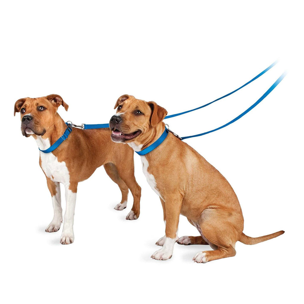 Nylon Dog Leash S270669