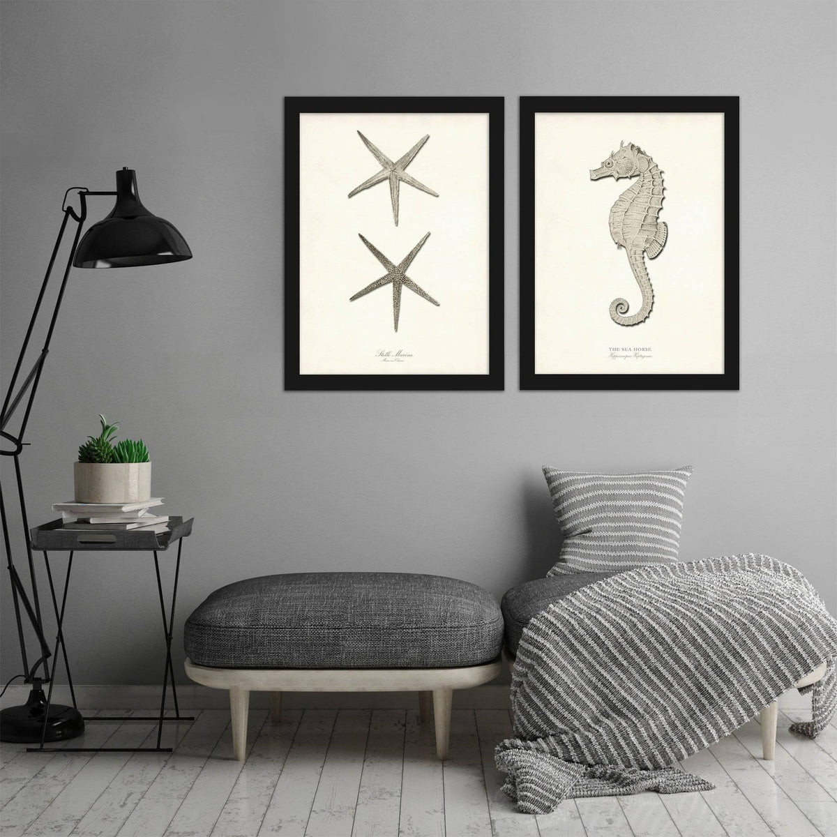 Greige Sea Horse 2 Piece Black Framed Print Set R213134