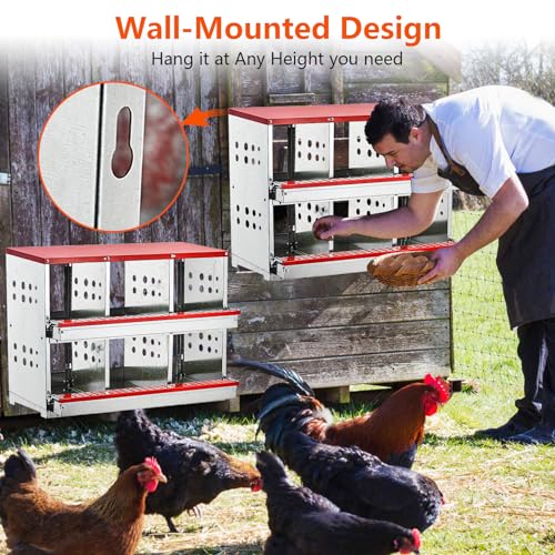 6 Compartment Metal Chicken Nesting Boxes V64992