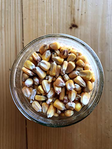Whole Corn (50 lb) J4928