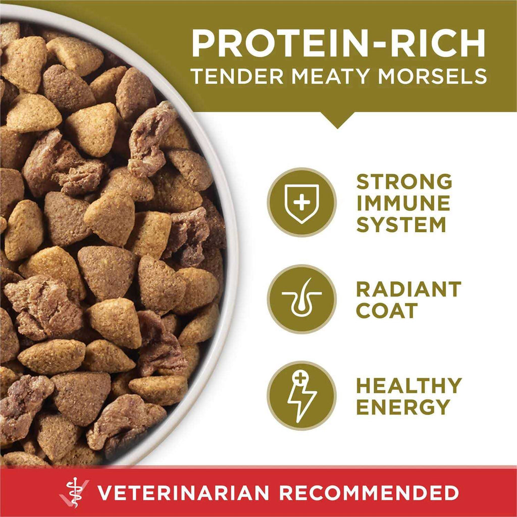 Natural Dry Dog Food Lamb Rice Formula M238