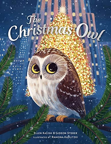 Christmas Owl V291467