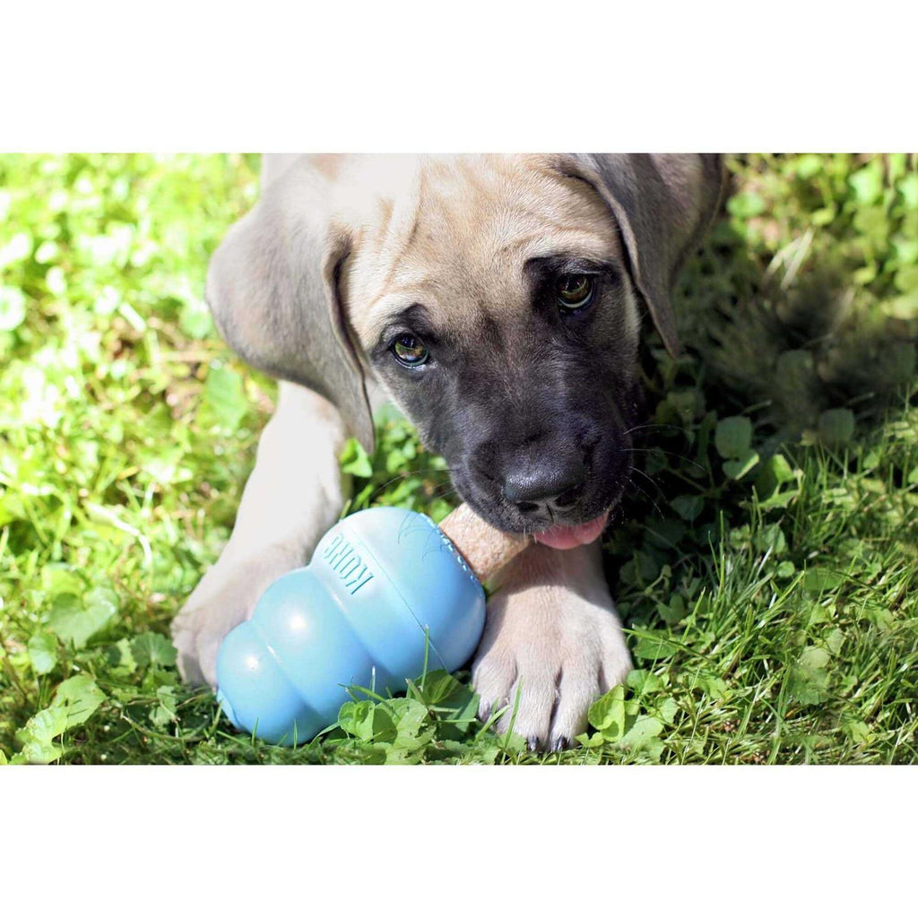 Ziggies Pet Supplies D6359