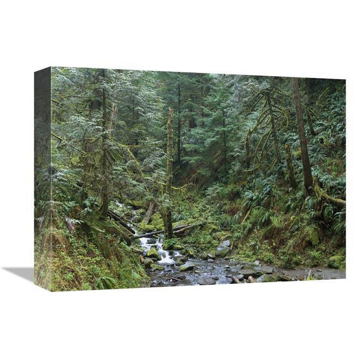12 x 16 in. Art Print I861450