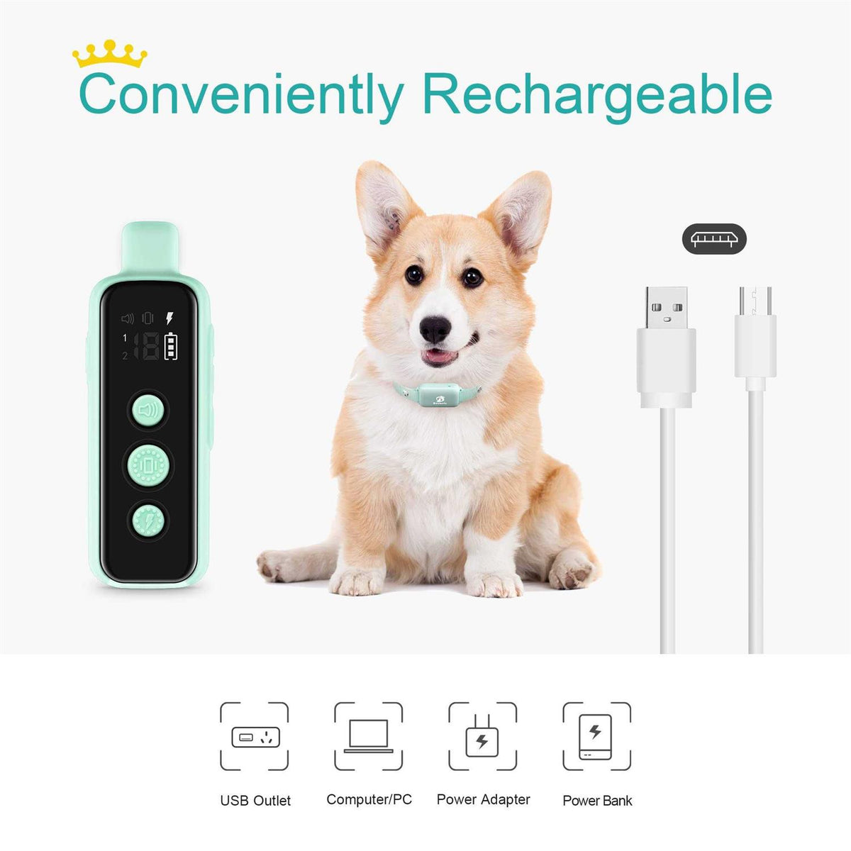 Waterproof Rechargeable Electric Dog Training Collar with Remote W751