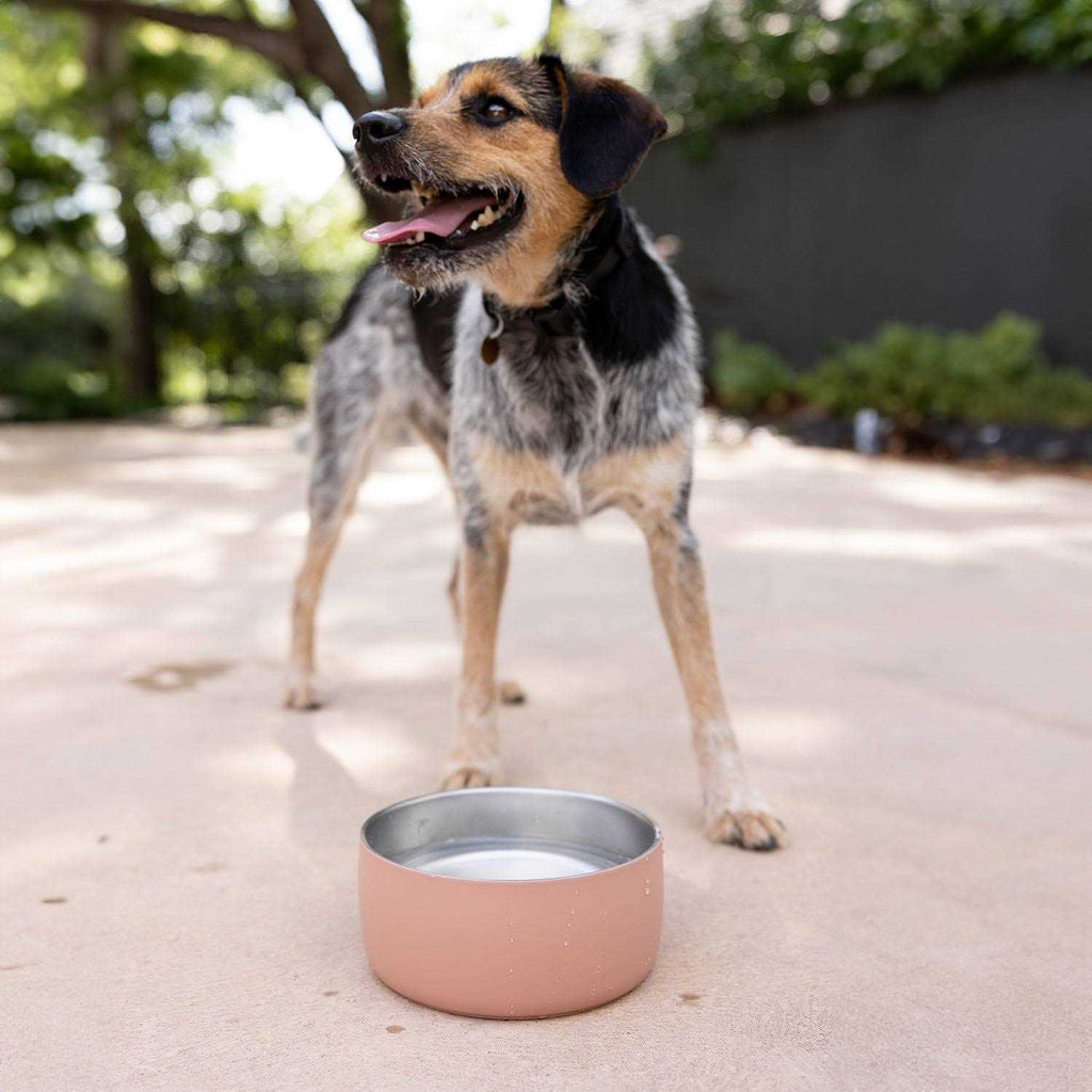 Stainless Steel Pet Water Bowl A295213