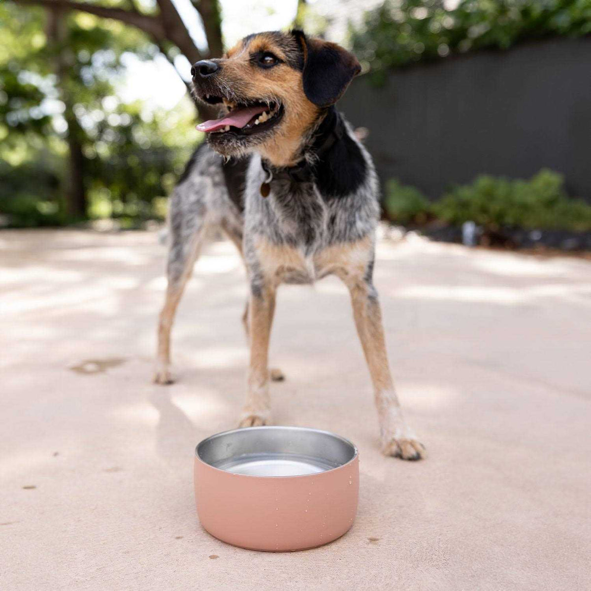 Stainless Steel Pet Water Bowl A295213
