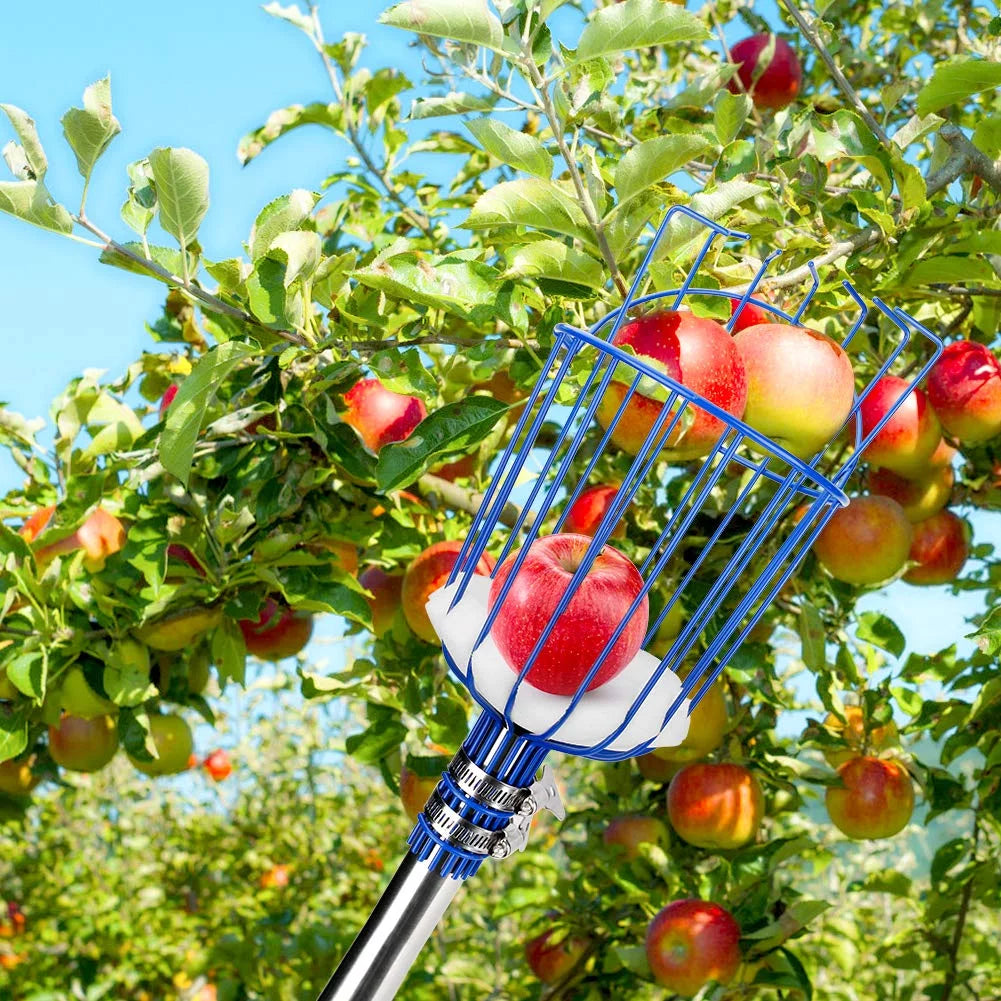 13-Foot Fruit Picker with Telescoping Pole and Basket P59343