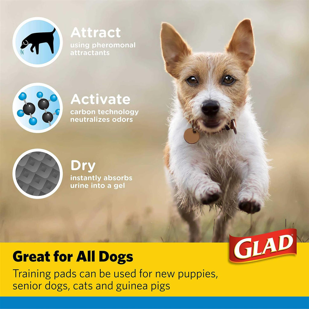 Black Charcoal Puppy Pads A881910