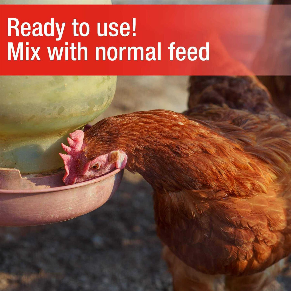 Poultry Grit Y73711