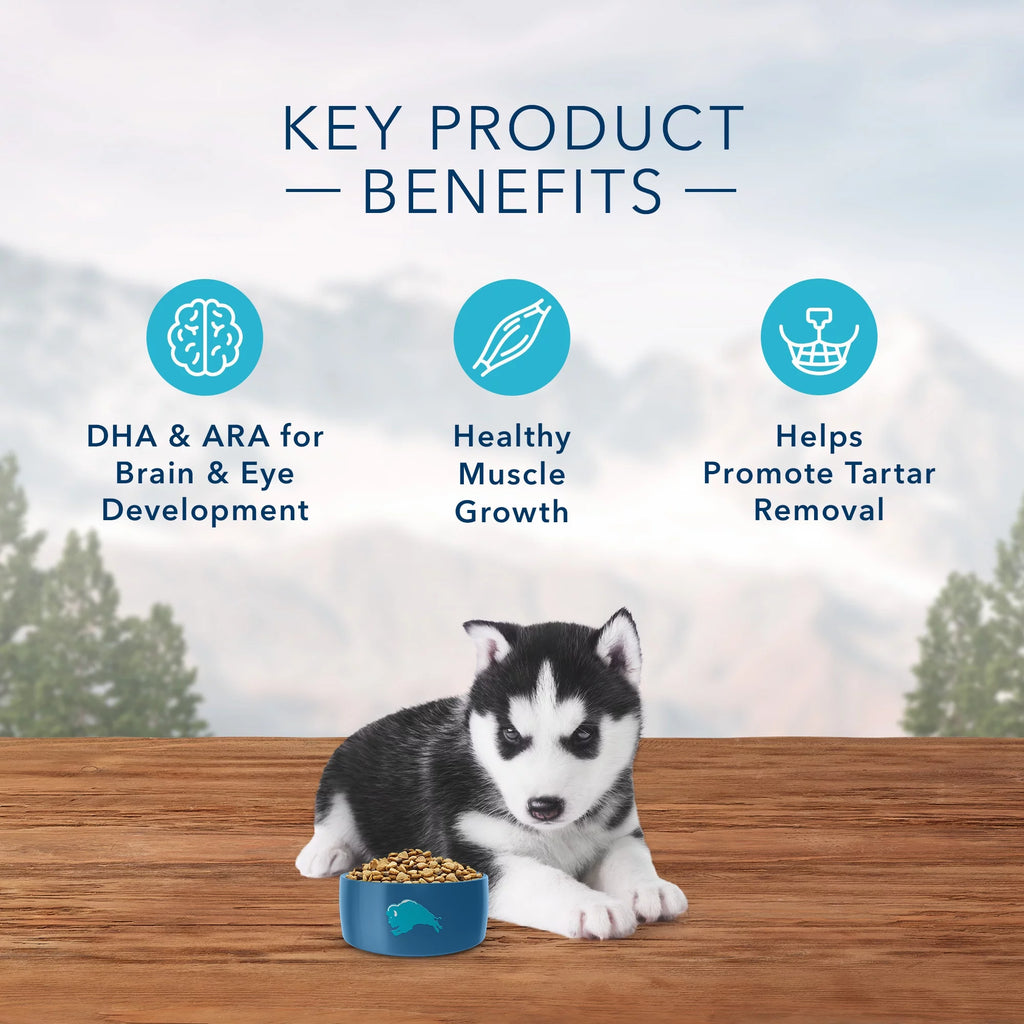High Protein Chicken Grain-Free Dry Dog Food S270995