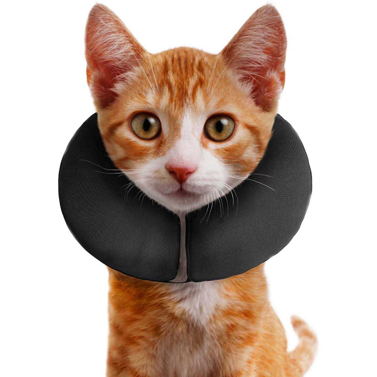 Inflatable Recovery Collar B998