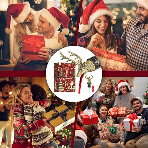 Wine Bottle Pourer and Stopper C519